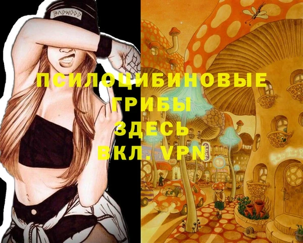 MDMA Елизово