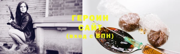 соль ск Ельня