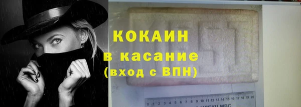 соль ск Ельня