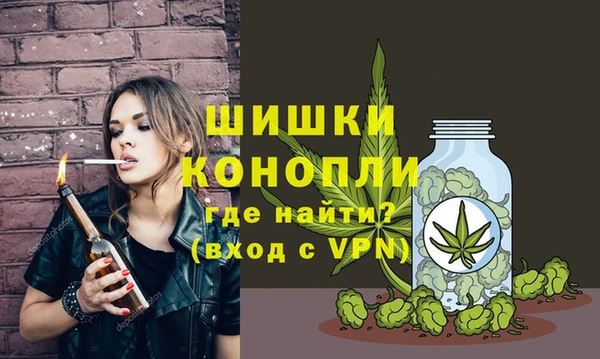 соль ск Ельня