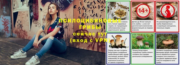 соль ск Ельня
