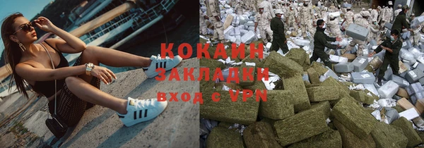 соль ск Ельня
