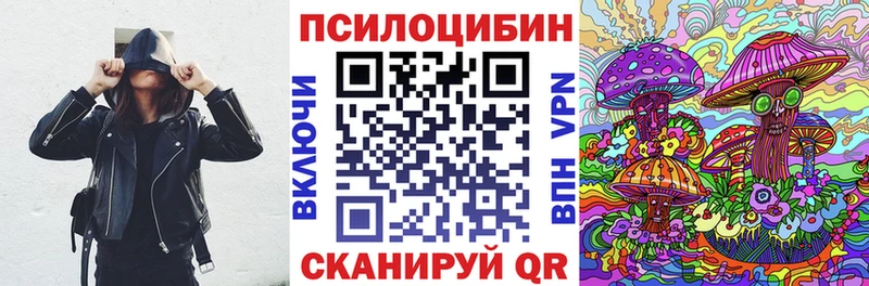 Псилоцибиновые грибы мухоморы  blacksprut ССЫЛКА  Жуковка 